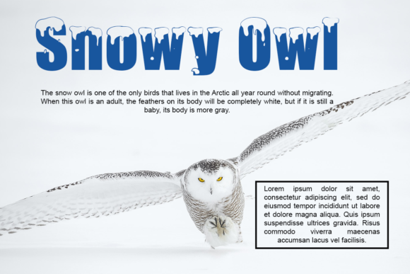 Polar Snow Font PNG with transparent background - Preview 3