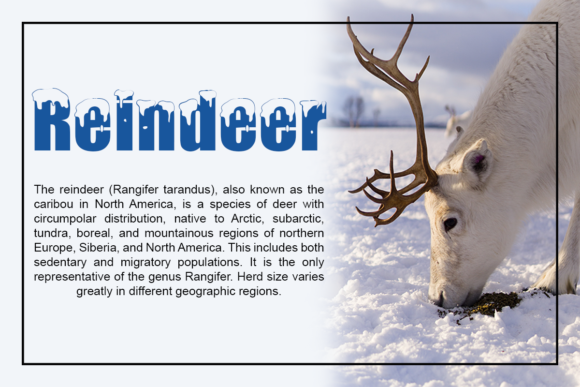 Polar Snow Font PNG with transparent background - Preview 4
