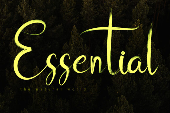 Belove Font - Preview 3