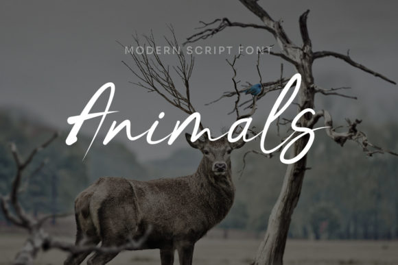 Ranirah Font PNG with transparent background - Preview 2