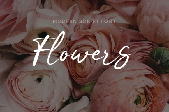 Ranirah Font PNG with transparent background - Preview 1