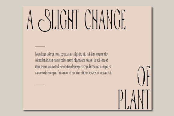 Sabelano Font PNG with transparent background - Preview 3