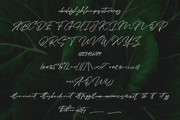 Asgardhian Font - Preview 4