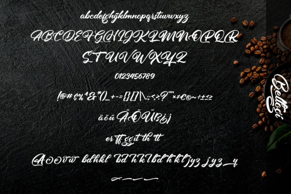 Bellogi Font - Preview 5