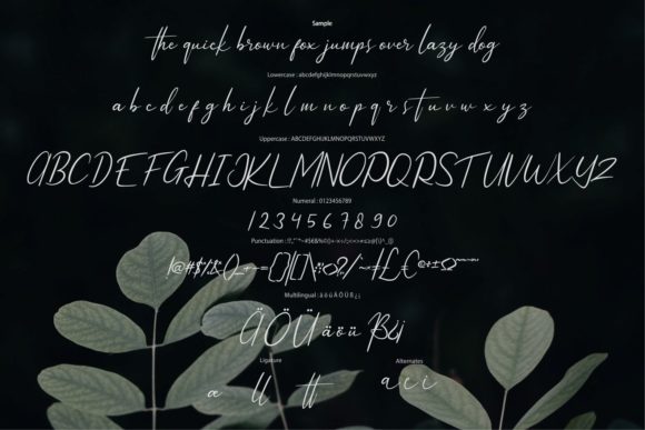 Catiseye Font - Preview 5