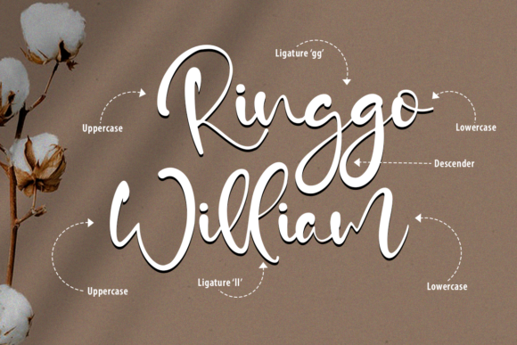 Sean Gary Font PNG with transparent background - Preview 1
