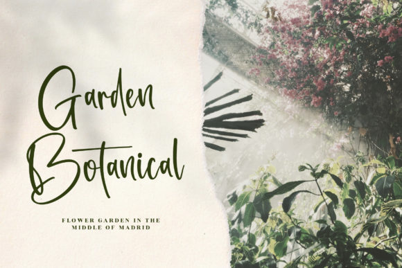 Casttalica Font - Preview 2