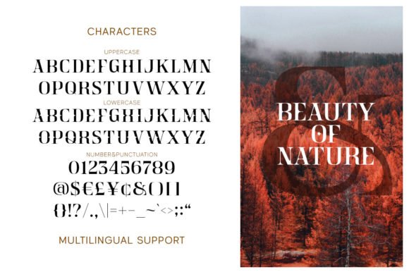 Crainzel Font - Preview 6