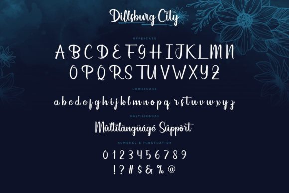 Dillsburg City Font PNG with transparent background - Preview 3