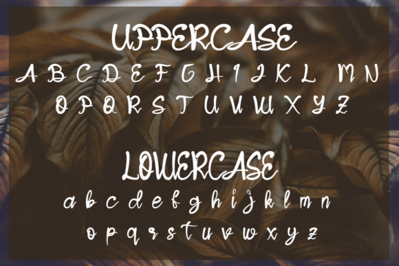 Jendra Font PNG with transparent background - Preview 6