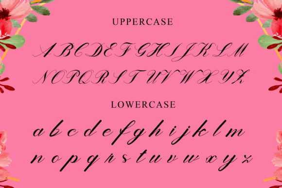 Lanita Font PNG with transparent background - Preview 5