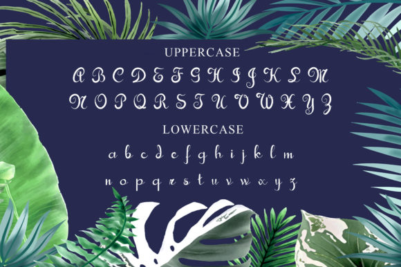 Bandiani Font - Preview 5