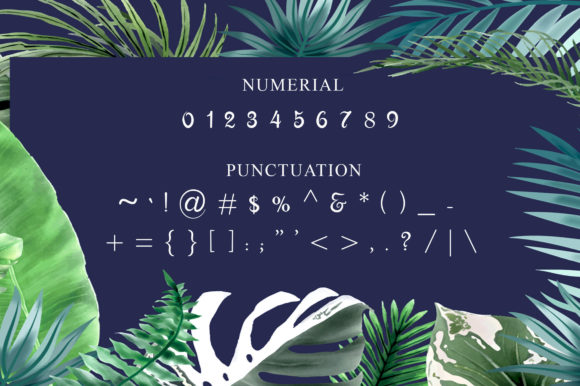 Bandiani Font - Preview 6