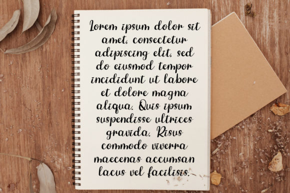 Belgia Font - Preview 3