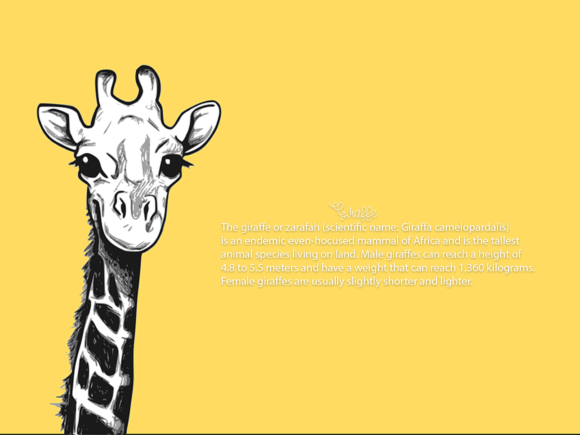 Burger Font - Preview 2
