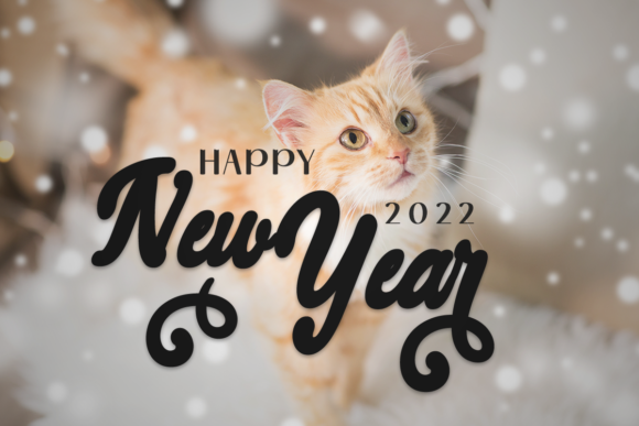 Christmas Cat Font - Preview 5