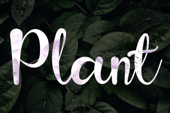 Garlic Font - Preview 5