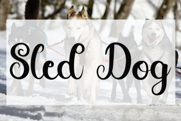 Happy Winter Font PNG with transparent background - Preview 2