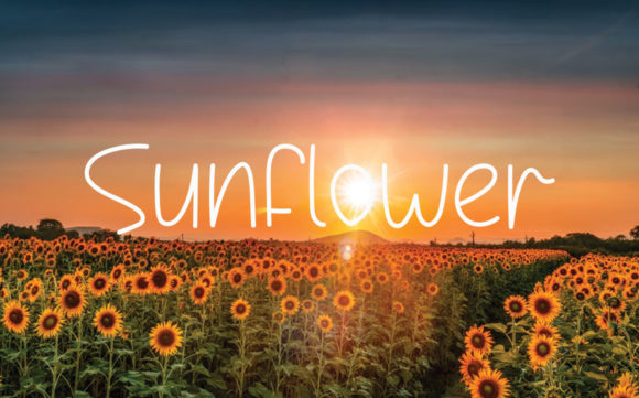 Home Sweet Font - Preview 3