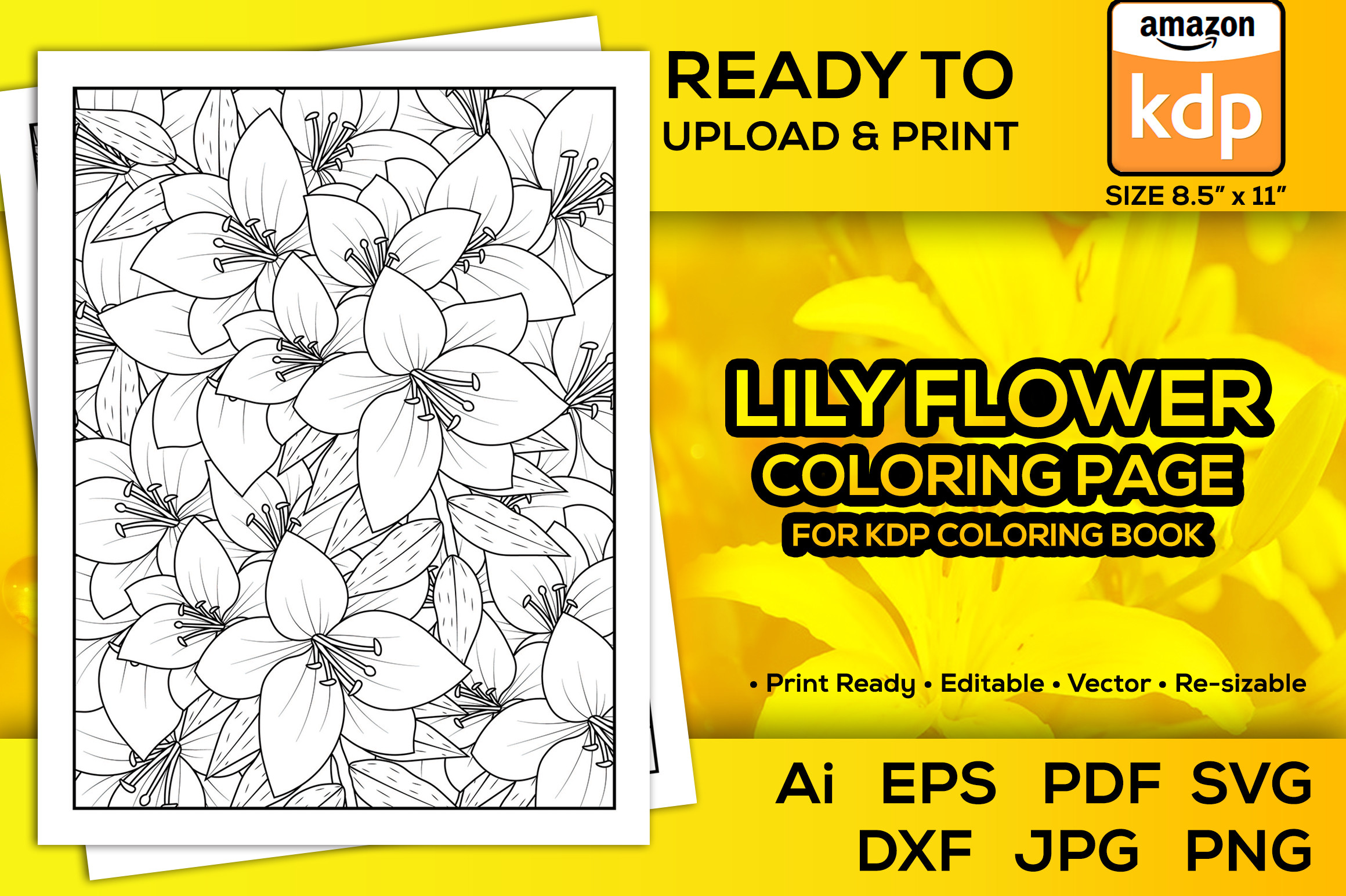 Lily Flower Coloring Pages for Kdp Book Graphic by TeamlancerBD ...