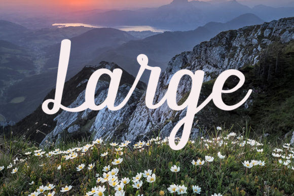 Beautiful Nature Font - Preview 3