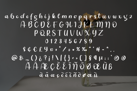Bluebery Font - Preview 3