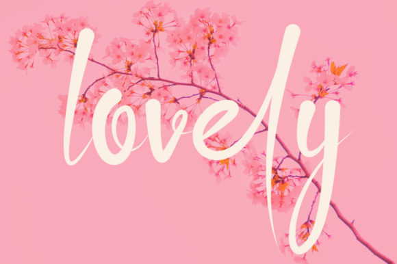 Ollivitess Font PNG with transparent background - Preview 1