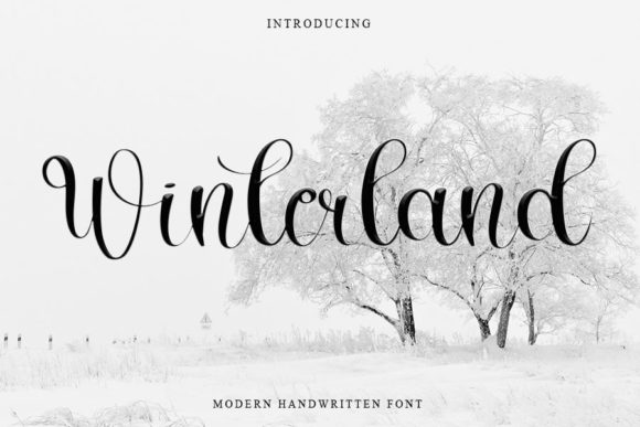 Winterland Font Scritti a Mano Font Di FreshTypeINK