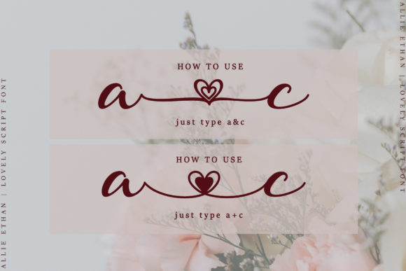 Allie Ethan Font - Preview 6