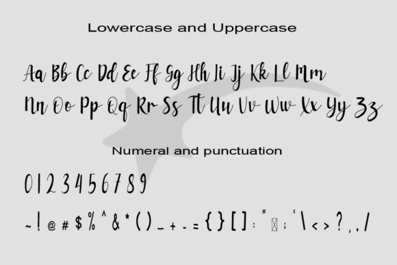 Amsterdam Font - Preview 2