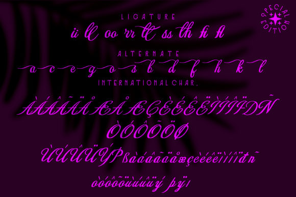 Anastasya Vella Font - Preview 2