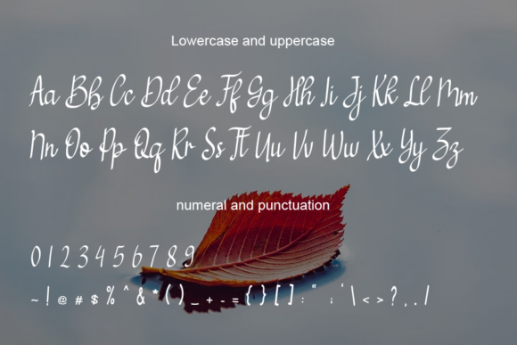 Anderson Font - Preview 2