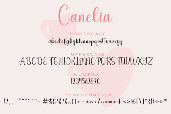 Canelia Font - Preview 4
