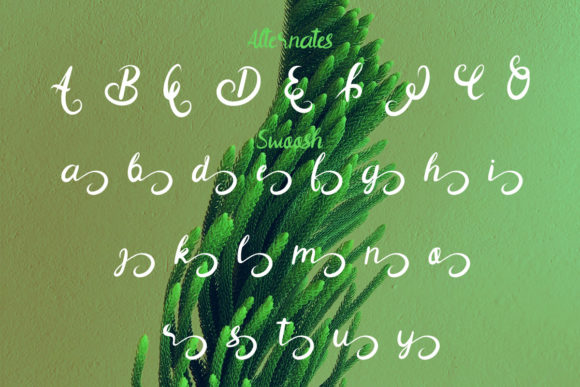 Elegan Font - Preview 2
