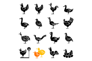 Farm Birds for Poultry Black Icons Set Graphic by IMG visuals icons ...