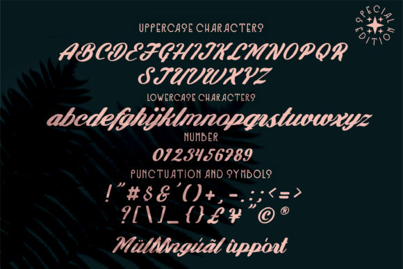 Feel Special Font - Preview 5