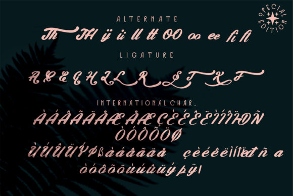 Feel Special Font - Preview 6