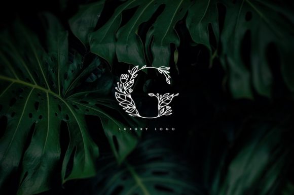 Flola Font - Preview 1