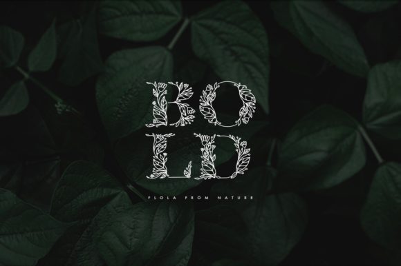 Flola Font - Preview 2