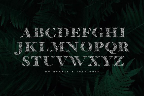Flola Font - Preview 3