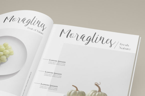 Leticia Font font preview - 5