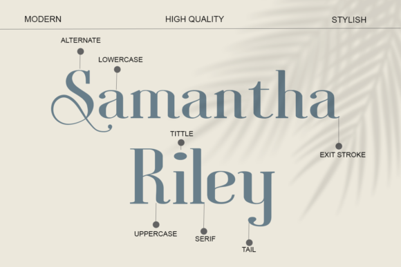 Sannia Font PNG with transparent background - Preview 1