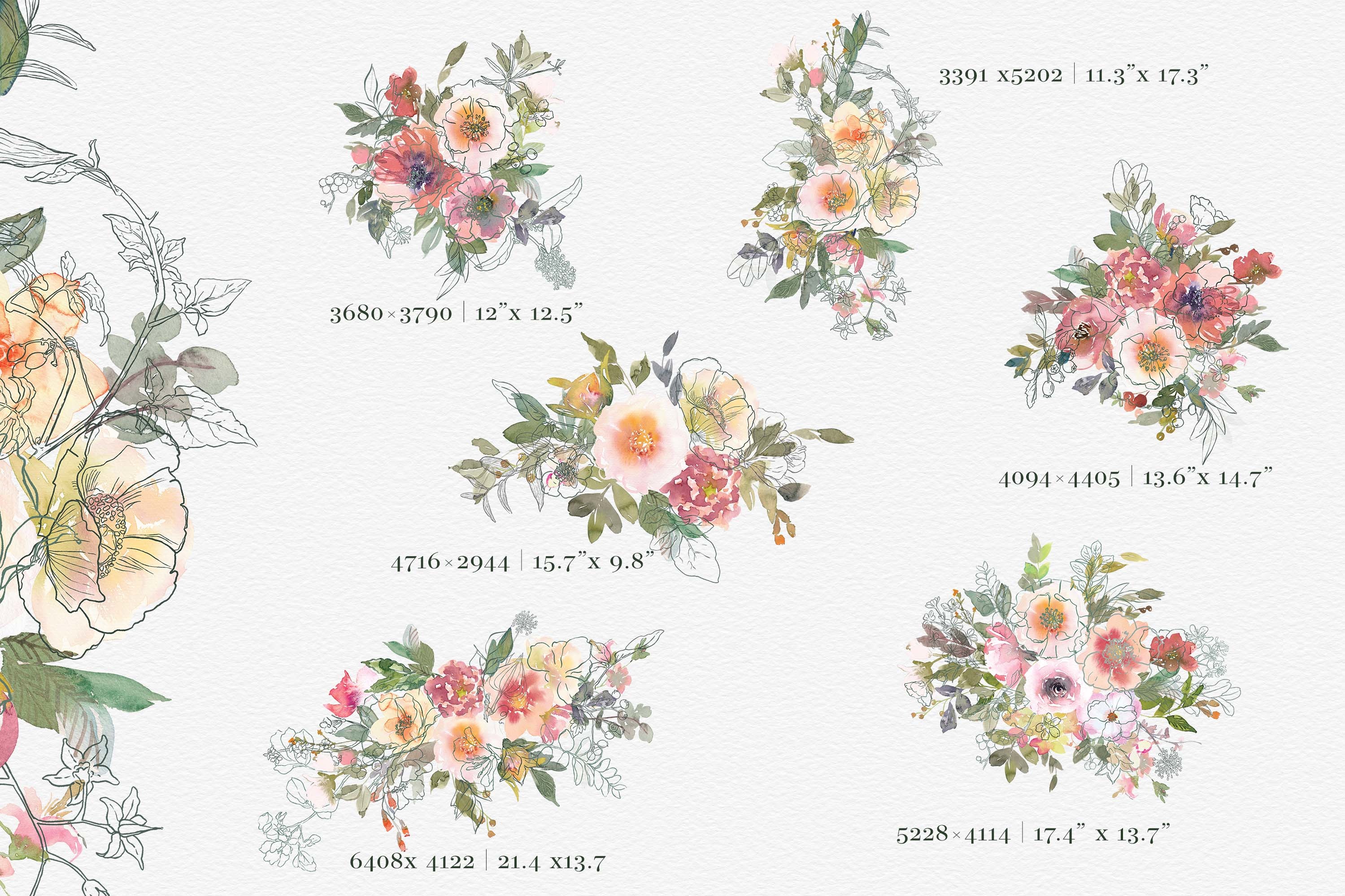 Watercolor Soft Flowers Clipart Set - photo 6