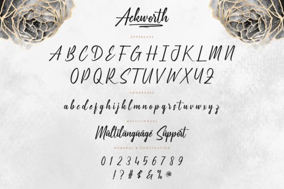 Ackworth Font - Preview 3
