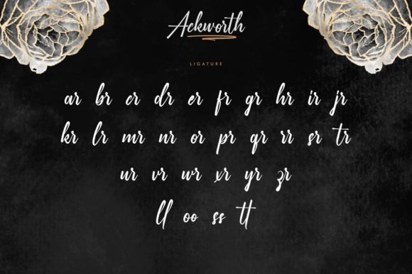 Ackworth Font - Preview 5