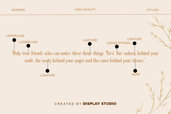 Chameleon Font - Preview 1