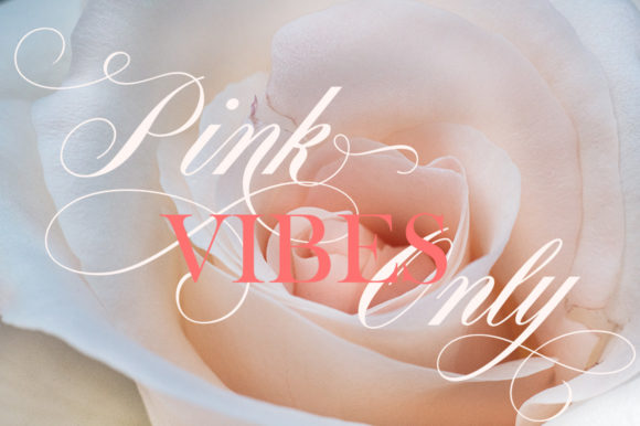 Mounday Calligraphy Font PNG with transparent background - Preview 3