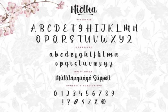 Nictha Font PNG with transparent background - Preview 3