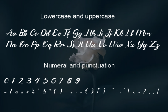 Background Font - Preview 2