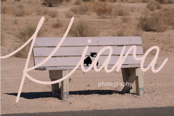 Collean Font PNG with transparent background - Preview 2